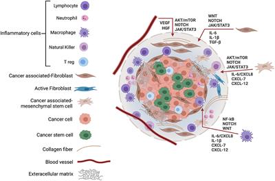 Oral Cancer Stem Cells: Therapeutic Implications and Challenges